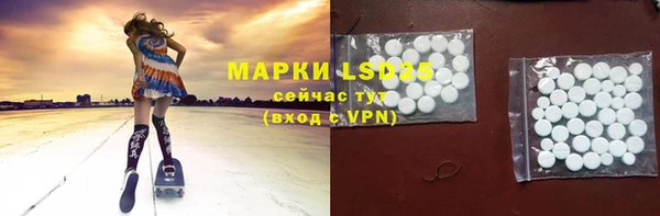 молекула духа Арсеньев