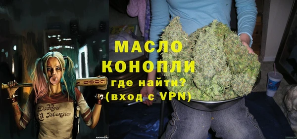 молекула духа Арсеньев