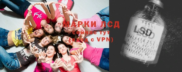 молекула духа Арсеньев