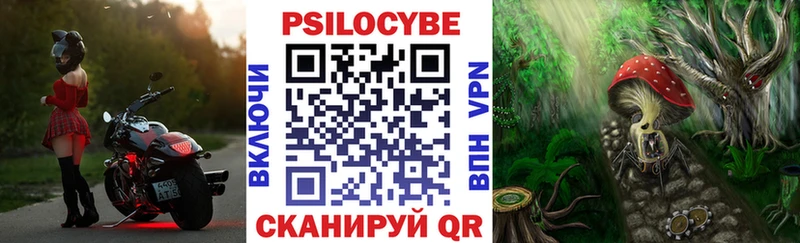 Псилоцибиновые грибы Magic Shrooms Осташков